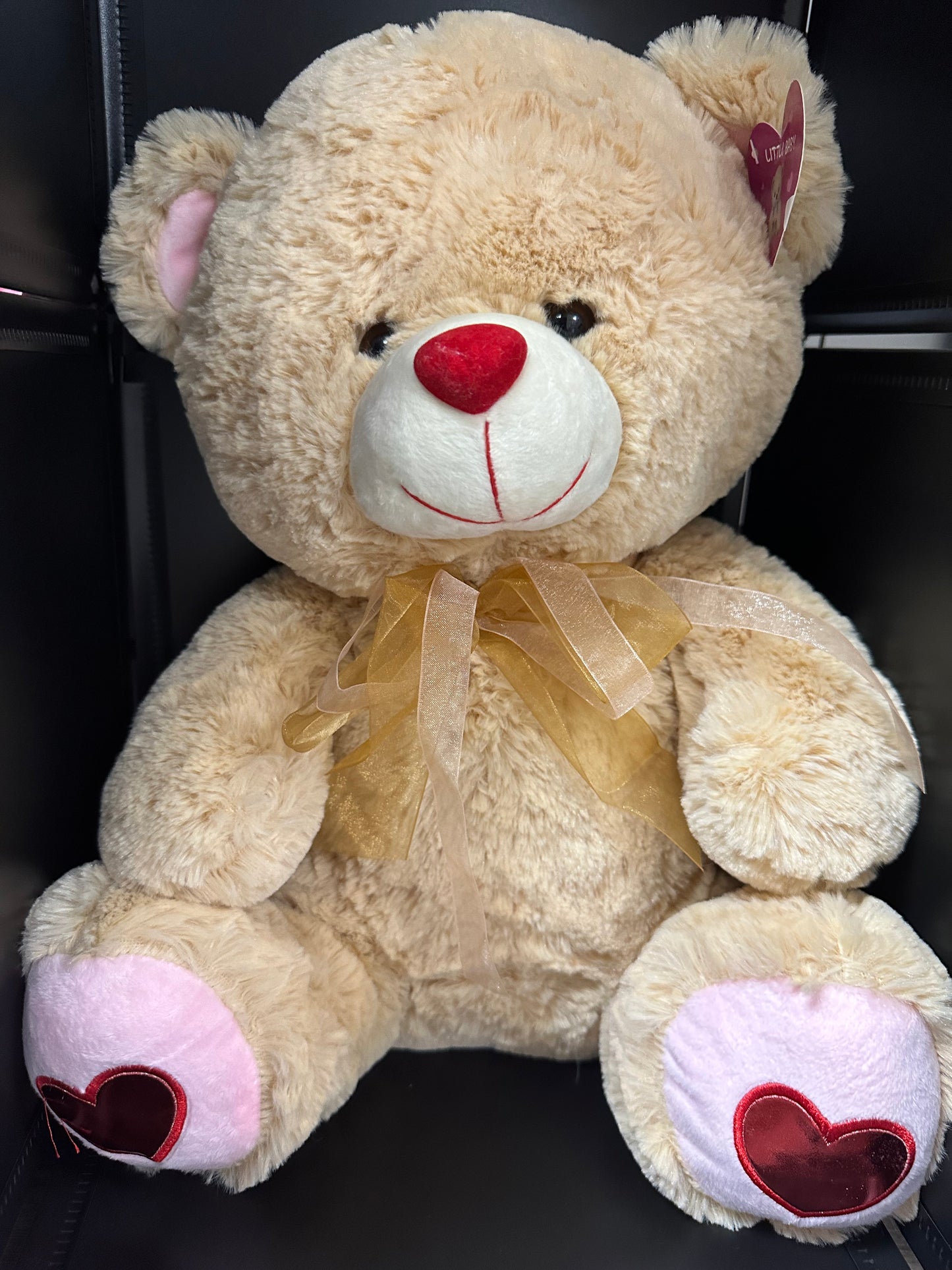 Plush - Teddy Bear - Large Assorted (Love) collection