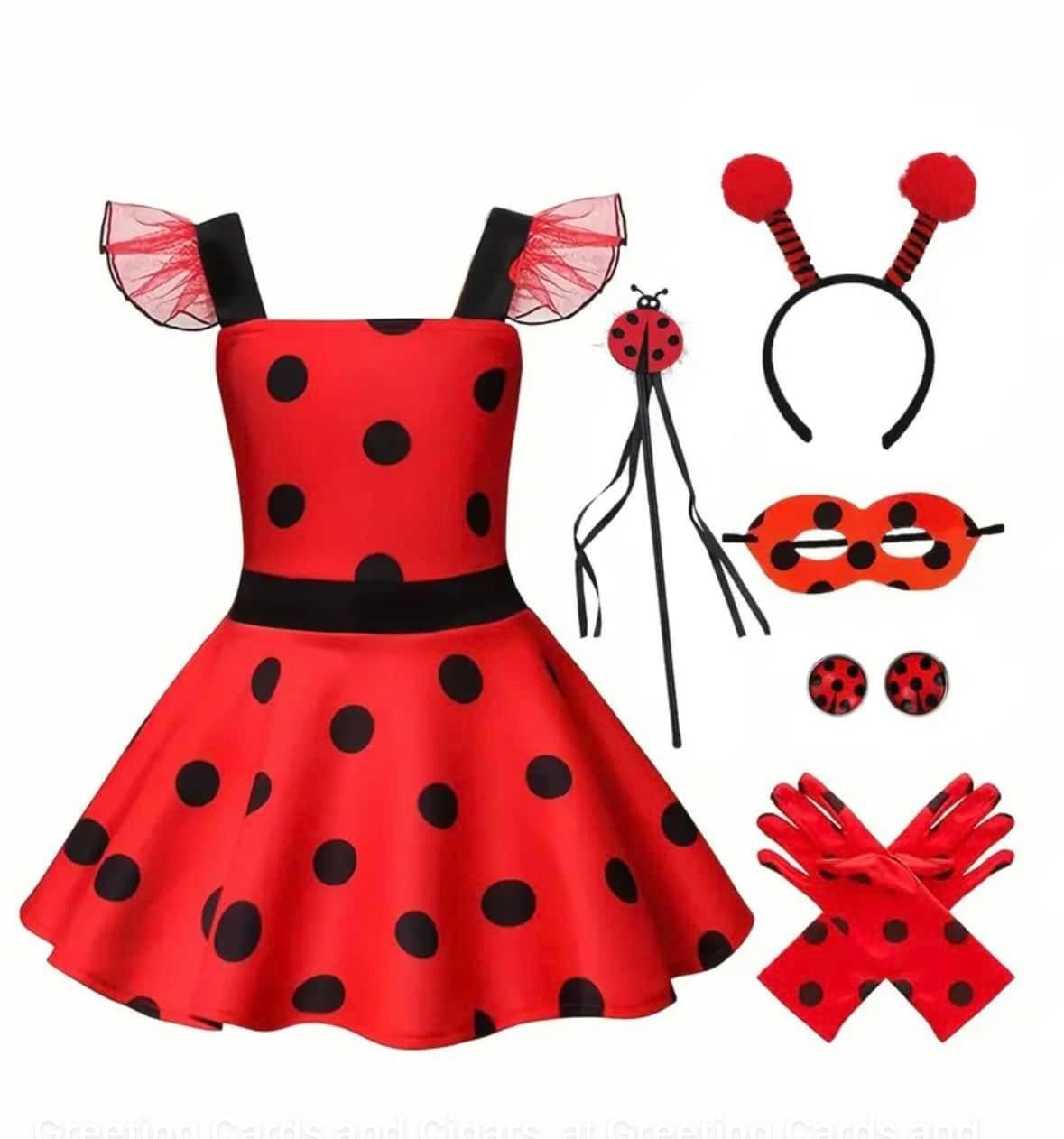 Costume ladybug for Halloween or every day play